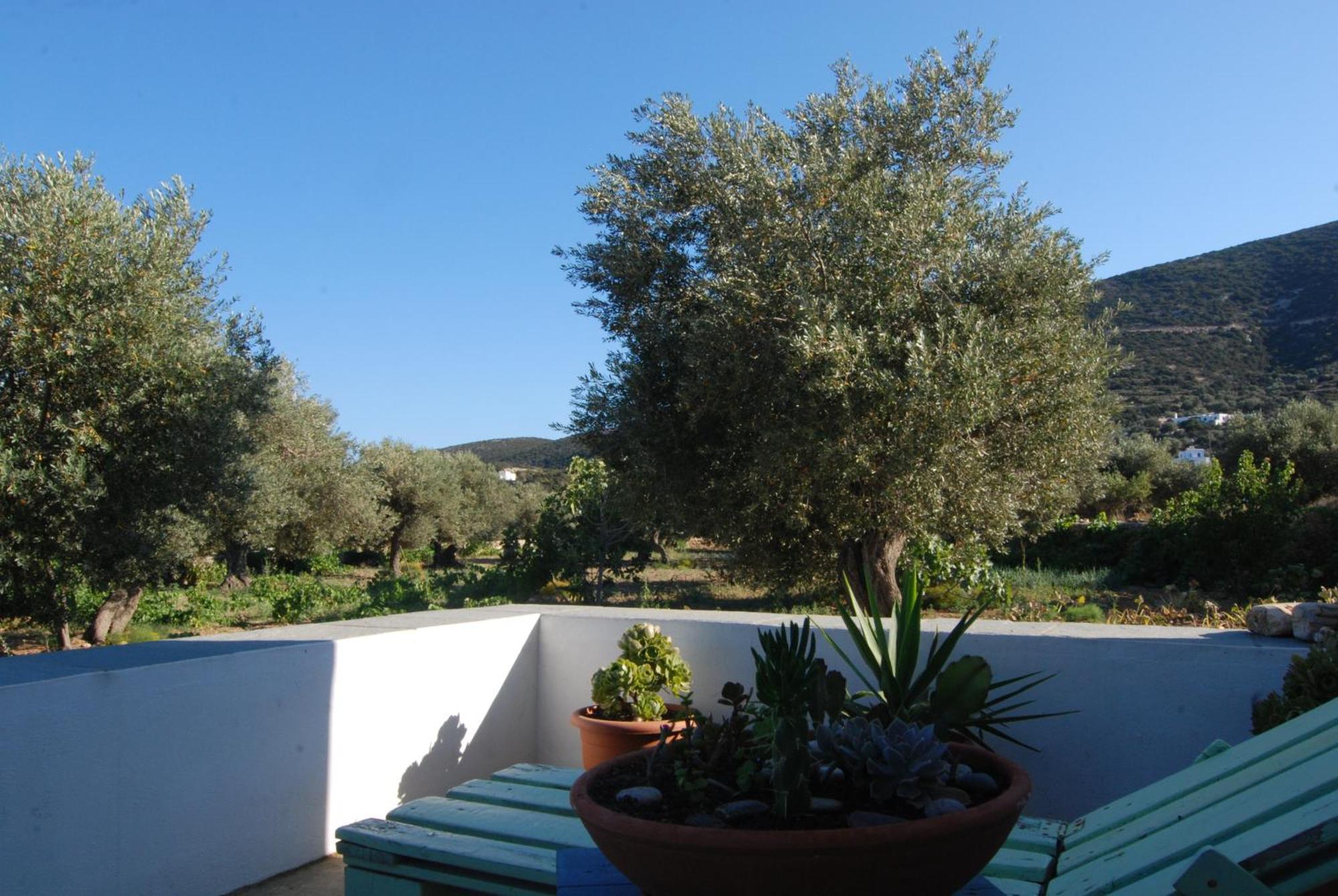 Villa Perivoli Platis Gialos  Kültér fotó